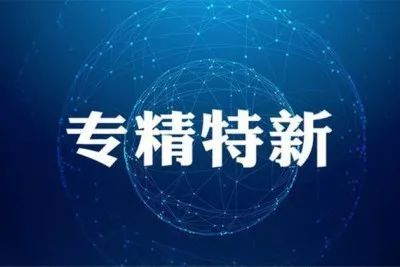 「分享」“专精特新”小巨人企业，怎么做到通过率高？